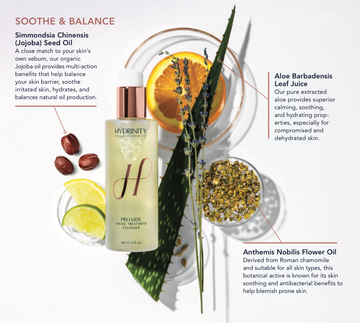 Hydrinity PRELUDE Facial Treatment Cleanser